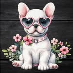 Bella Bean Pet Accessories - @bellabeanpets - Instagram