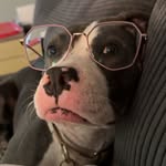 Bella Marie 🤍 - @bella_._._bean - Instagram