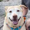 Bellabean - @bellabean381 - TikTok
