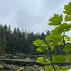 Bellabean - @bella.bean59 - TikTok