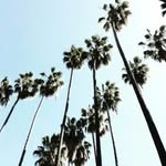 bella_becker_03 - @bella_becker_03 - Instagram
