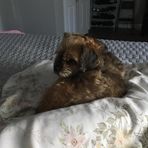 Bella Bennett - Facebook