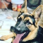 bella berger - @niane_320 - Instagram