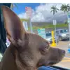 Bella Berger - @bella.berger1 - TikTok