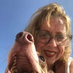 Bella Berger - @sou_o_nico - Instagram