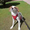 Bella/Berlin - @bellaberlin07 - TikTok