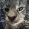 bella - @blevins_isabella - TikTok