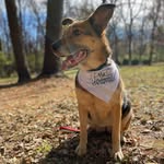 Bella Boo Blevins - @bella_boo_blevins - Instagram