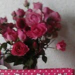 Bella Blume - @bellablume1 - Instagram