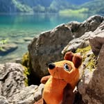 Bella Blumentopf - @bellablumentopf - Instagram