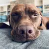 bellablum09 - @bellablum09 - TikTok