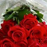 Blumen Rose - @bellablumenrose - Instagram