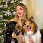 🐶 Prince • Bolt • Bella - @prince.bolt.bella - Instagram