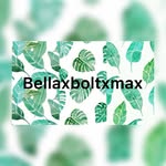 Bella, Bolt & Max - @bellaxboltxmax - Instagram