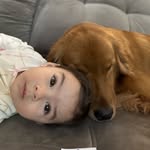 Bella e Bolt - @bellaebolt - Instagram
