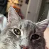 ☕️ Bella Boo 🍂 - @bellas_.tiktok - TikTok