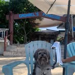 Bella Boo - Facebook