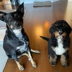Bella and Booker - @bella_booker - Instagram