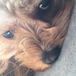 Bella Booker - @lila_boo_12hehe - Instagram