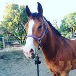 Isabella Cummins - @bellabooker14 - Instagram