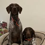 Bella & Boone - @thebellaandbooneshow - Instagram