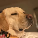 Bella Neiser - @bella_booneiser - Instagram