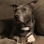 Bella Bowen - @bellabowen53 - Instagram
