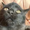 bella_bowers2 - @bella_bowers2 - TikTok