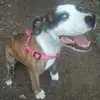 Bella Bowling - @jazzmancutiepie - TikTok