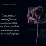 Bella Braatz - Facebook