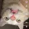 Bell - @bellabradleyyy - TikTok