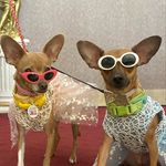 Bella and Brie Bradley - @bellabradleybellisima - Instagram