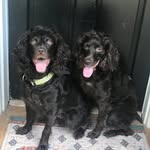 Bella & Brady - @boykins_bellabrady - Instagram
