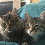 Bella & brady - @bella_n_brady_ - Instagram