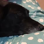 Bella Brady - @bubba.erin - Instagram