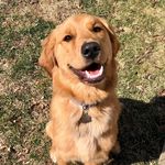 Bella Brady - @bellathegolden319 - Instagram