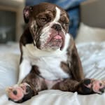 Bella Brady Perkins - @msbellathebeautiful - Instagram