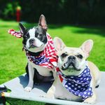 bella.n.brady - @bella.n.brady - Instagram