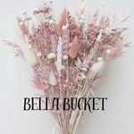 @bella_bucket_ - Instagram