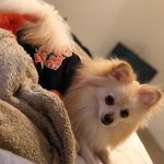 BellaBuenrostro - @bella___buenrostro - Instagram