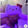 ItsYaGirlBella - @bellaburke - TikTok