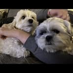 Bella Bush - Facebook