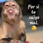 Bella Cabral - Facebook