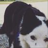 Bella Cameron - @bella.cameron - TikTok