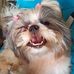 Bella Marie Candelaria - Facebook