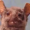Isabella Cantu - @bellacantoo - TikTok