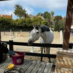 Bella Cantrell - @cantrell.eq - Instagram