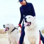 Орхан и Белла - @cao_bella_orhan - Instagram