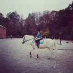 Bella Carney🐎🐴 - @horses0419 - Instagram