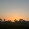 Bella Carson - @bella.carson5 - TikTok